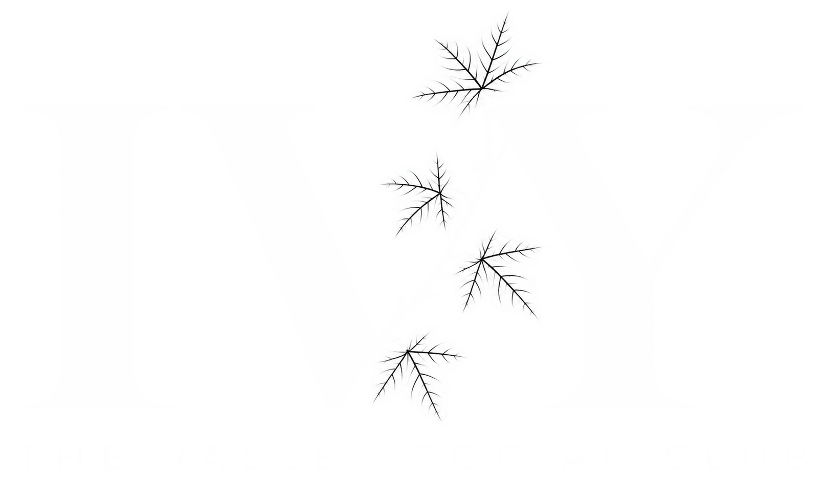 IVY
